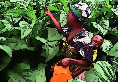 Afican woman working the fields with her baby